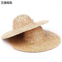艾逸瑶选 HW-CM001 户外草帽 43CM(单位：个)