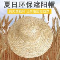 爱萝兔 ALT-CM01 草帽 遮阳帽 42cm 黄色(单位：顶）
