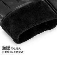 皮尔卡丹（Pierre Cardin）824291029B0901L 女士加绒山羊皮真皮触屏手套 170/185(L) (单位:副)黑色