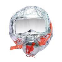 神龙 TZL30 火灾逃生防毒防烟面具 30型 防护时间不低于30min（单位：个）