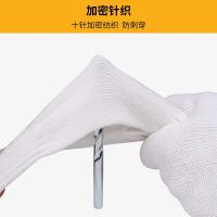 百舸 棉纱加厚 劳保手套 500G/12双 本白色（单位：套）