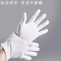 百舸 白色礼仪 劳保手套 210*95*75mm*60付 白色（单位：组）