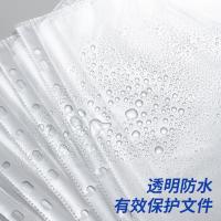 晨光（M&G） 11孔透明文件袋 A4 ADM94514 100页/袋 (单位:袋) 透明