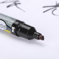 晨光（M&G）MG2110A 双杰记号笔 12支/盒 （单位：盒） 黑色