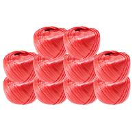 伏兴 FX999 塑料捆扎绳 150g 100m/卷 10卷/包 （单位：包) 红色