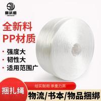 狮沃德（shiwode） SWD-KZS2.5 捆扎绳 2.5kg/卷（单位：卷）白色