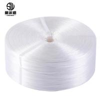 狮沃德（shiwode） SWD-KZS2.5 捆扎绳 2.5kg/卷（单位：卷）白色