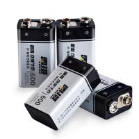 雷摄（LEISE） 9V锂电充电电池 电池  600mAh*两节 （单位:盒）