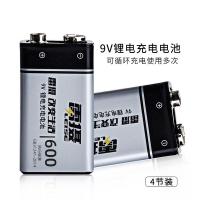 雷摄（LEISE） 9V锂电充电电池 电池  600mAh*两节 （单位:盒）