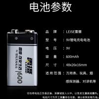 雷摄（LEISE） 9V锂电充电电池 电池  600mAh*两节 （单位:盒）