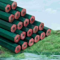 晨光（M&G） AWP357X3 绿色笔杆六角铅笔 HB  10支/盒  （单位：盒） 黑色