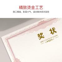 得印（befon） 9970 奖状纸 横版内页 A4 12张/包(单位：包)