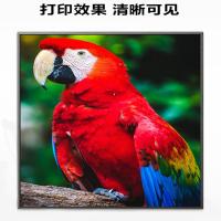 京天国度（JT REPUBLIC） 硒鼓 CRG054 BK 1800页 (单位:支) 适用佳能 CanonCanon i-SENSYS LBP621CW/LBP623CwMF641CW/MF643Cdw/MF645CxCanon Colo