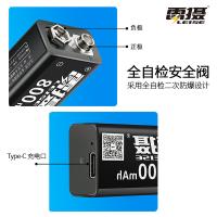 雷摄（LEISE） 400mAh 9V锂电充电电池 9v*1节 黑色（单位：件）