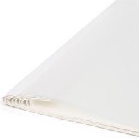 得力（deli） 3866 热熔封套 A4/4mm 10个/袋(单位：袋) 透明