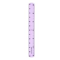 晨光（M&G） ARL96156 直尺 30CM （单位:把） 彩色