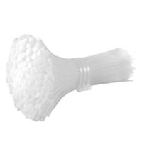 龙仕康 塑料扎带自锁式束线扎带 LSK5250 5*250mm 250条/包 (单位:包) 白色