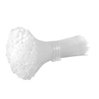 龙仕康 塑料扎带自锁式束线扎带 LSK5250 5*250mm 250条/包 (单位:包) 白色