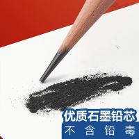 三木（SUNWOOD） QY19 铅笔 12支/桶 （单位:桶） 黑色