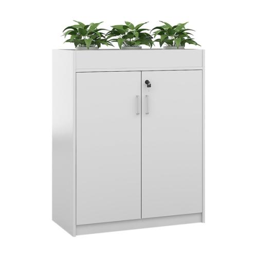 臻远 ZY5062245 铁皮文件柜二门矮柜 80*30*120cm（单位：台）白色