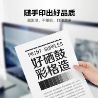 彩格 T-3003C 适用东芝T-3003C粉盒 东芝300d打印机硒鼓 301dn碳粉 302dnf墨盒 墨粉 大容量墨粉盒 2600页（单位：支）