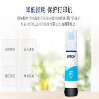 爱普生（EPSON） T06E2 打印机墨盒 70ml (单位：只) 蓝色