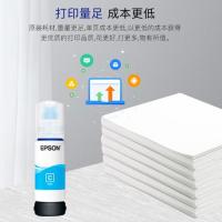 爱普生（EPSON） T06E2 打印机墨盒 70ml (单位：只) 蓝色