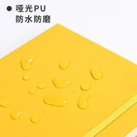 齐心（COMIX） C5902/C5902T 皮面笔记本 138mmx206mm 122张/本 A5 （单位：本） 颜色随机