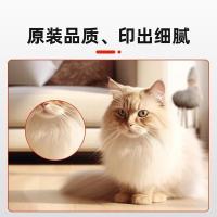 奔图（PANTUM）CTL-300Y原装黄色粉盒 适用CP2506DN Plus/CM7105DN彩色激光打印机墨盒墨粉 碳粉盒 硒鼓(单位：个)
