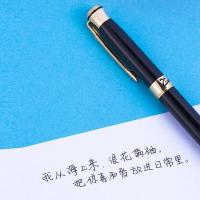 毕加索（pimio） 903 宝珠笔 0.5mm 紫彩 (单位:支)