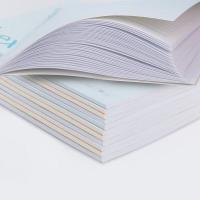 得力（deli） 7987 办公胶装本 B5(179*252)mm 38张/本 12本装/套 (单位: 套)蓝 灰 黄 绿四色随机发 新老包装随机发