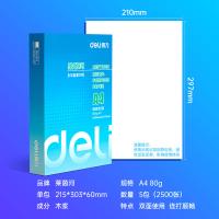 得力（deli） 7413 莱茵河复印纸 A4 80g 白色 500张/包 5包/箱 (单位:箱)