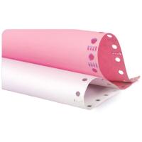 龙仕康 LSK241-2 电脑打印纸 二联整张 800页/箱(单位：箱) 彩色