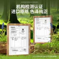 得力（deli） ZC001 十色混装彩色复印纸 A4 70g 100张/包 混色 (单位:包)