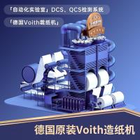 得力（deli） 3595 佳铂双面复印纸 A4 80g  500张/包 5包/箱 (单位:箱)