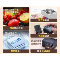 格之格 PG845 1000页 适用佳能MG3080 TS3480 MG2400 MG2980 MX498 TS3180 TS3380 MG2580S 墨盒 （单位：支） 黑色