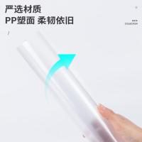 得力（deli） 63108 抽杆报告夹 抽杆夹 10只/组 透明色（单位：组）