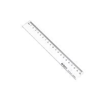 晨光(M&G) ARL96004 直尺办公 20cm （单位：把）透明