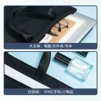 晨光(M&G) ABB904K3 拉链袋经典手提式 310*360mm（单位：个）黑色