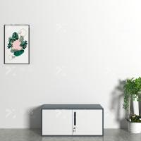 臻远 ZY-SY-39 窄边铁皮顶柜 400*900*400mm（单位：台）灰白套色