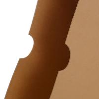 光环（guanghuan）  GH-30522050 纸制档案盒  竖版 600G牛卡纸 305*220*50mm 20个/组 （单位:组） 黄色