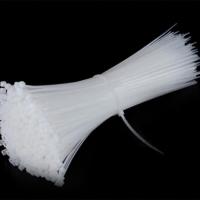 龙仕康 LSK5250 塑料扎带自锁式束线扎带 5*250mm 250条/包(单位：包) 白色