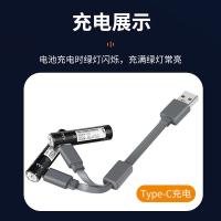 雷摄（LEISE） LS-AAA840mWh USB-Type-C充电锂电池盒装 840mWh 7号 4节/盒（单位：盒）