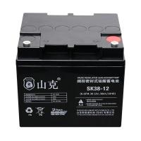 山克 SK38-12 UPS不间断电源电池 12V38AH (单位:节)