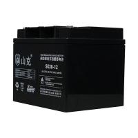 山克 SK38-12 UPS不间断电源电池 12V38AH (单位:节)