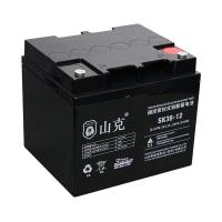 山克 SK38-12 UPS不间断电源电池 12V38AH (单位:节)