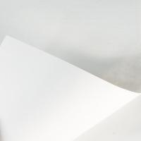 得力（deli）7414 莱茵河复印纸 A4 80g 500张/包 8包/箱（单位：箱）白色
