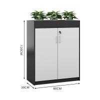 臻远 ZY5062240 铁皮文件柜二门矮柜 80*30*120cm（单位：台）灰白套色