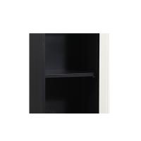 臻远 ZY5052329 钢制文件柜矮柜 单门 85*40*40cm（单位：台）黑白色