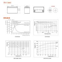 维谛（VERTIV）D12V100A 蓄电池165*125*170mm（单位：台）
